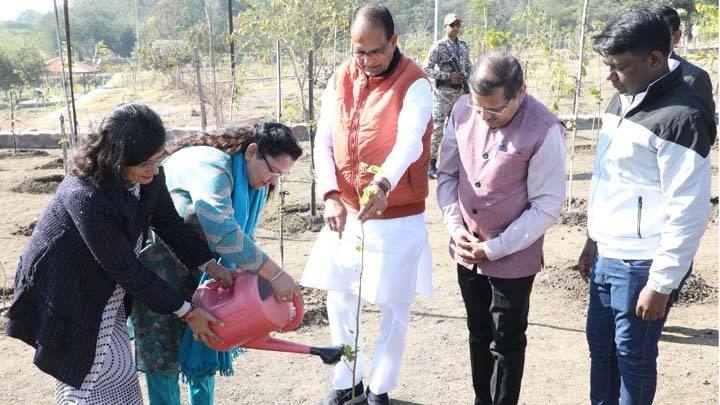 मुख्यमंत्री श्री चौहान ने म.प्र. साहित्य एवं उर्दू अकादमी के पदाधिकारियों के साथ पौध-रोपण किया